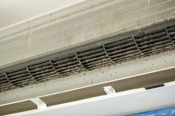 Best Air Quality Test  in West Orange, TX